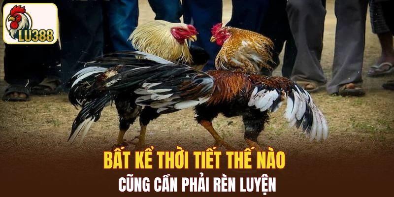Bất kể thời tiết thế nào cũng cần phải rèn luyện