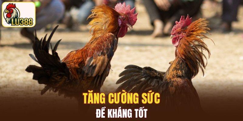 Tăng cường sức đề kháng tốt